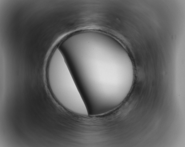 X0000093091416200709260900