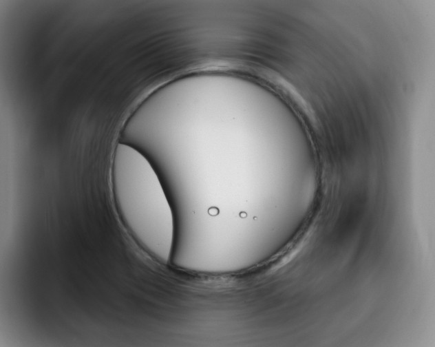 X0000093091417200709260900