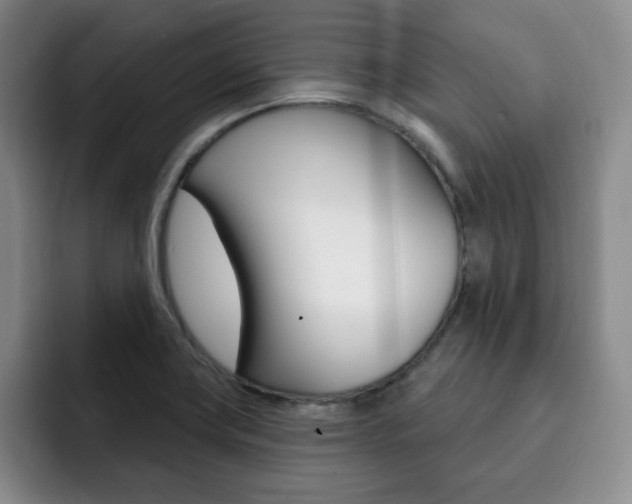 X0000093091419200709260900