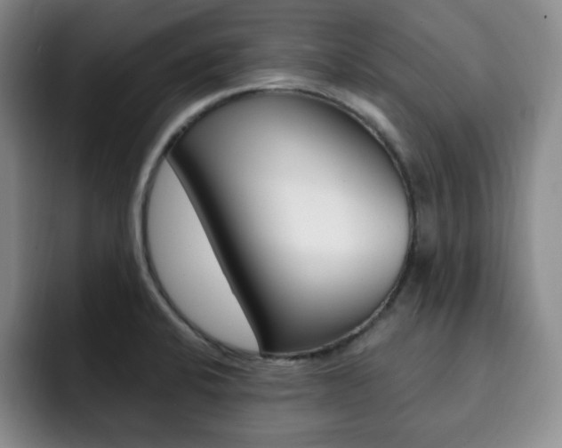 X0000093091424200709260901