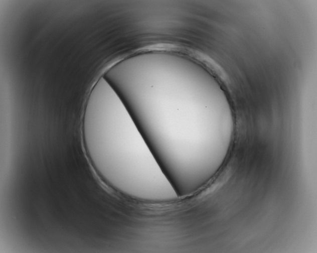 X0000093091425200709260901