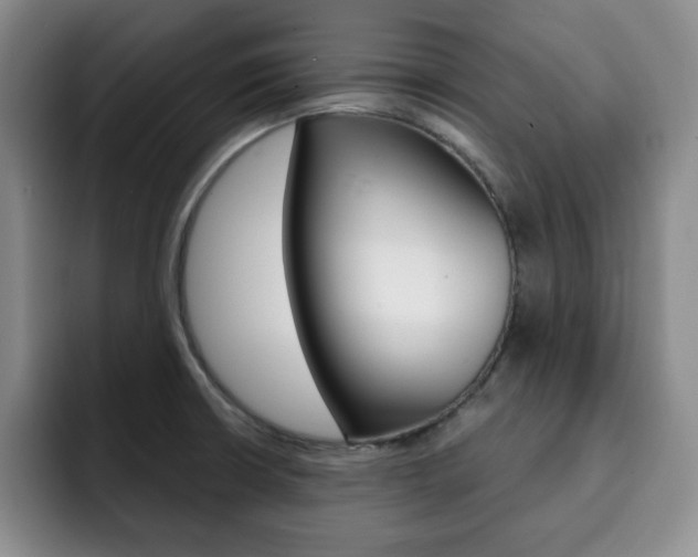X0000093091426200709260901