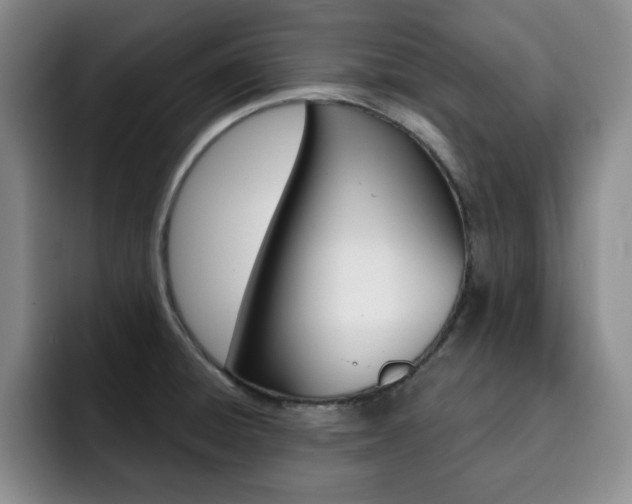 X0000093091428200709260901