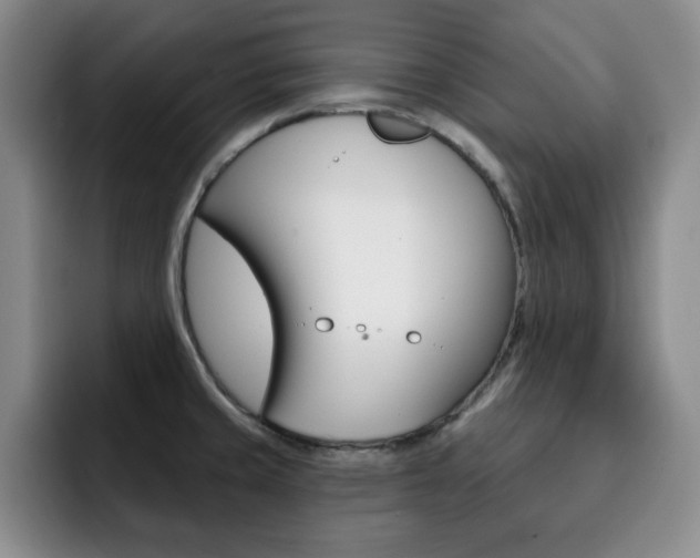 X0000093091429200709260901