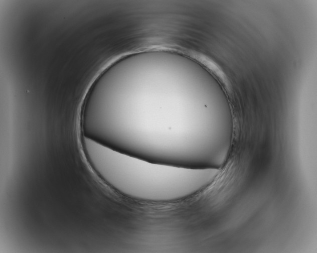 X0000093091431200709260901