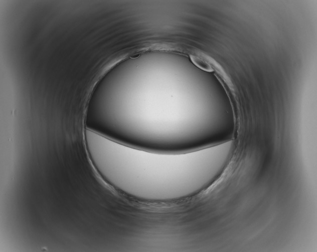 X0000093091433200709260901