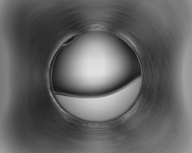 X0000093091434200709260901