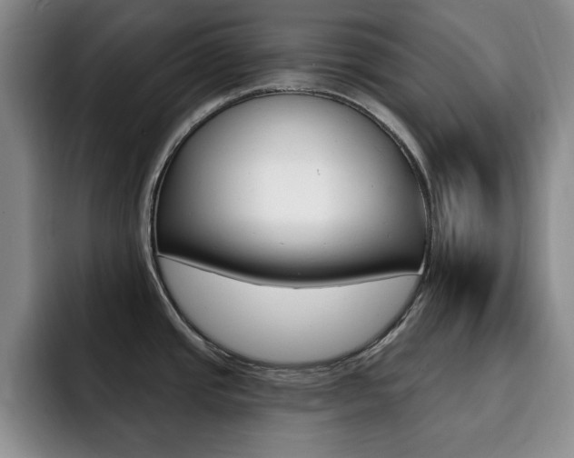 X0000093091437200709260901