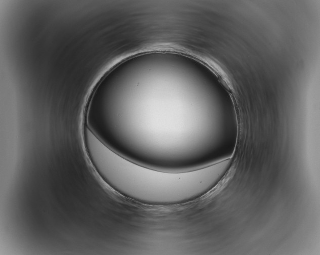 X0000093091438200709260901