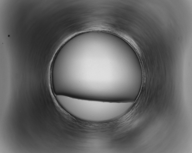 X0000093091439200709260901