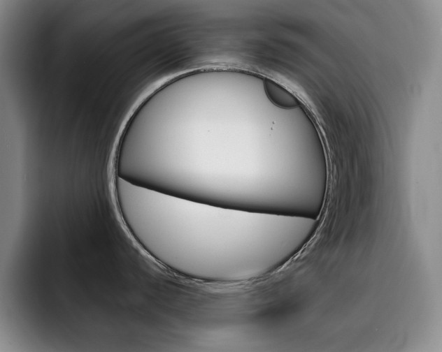 X0000093091440200709260901