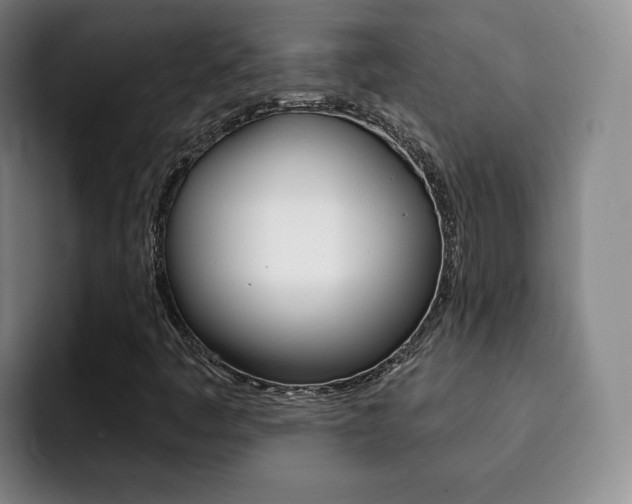 X0000093091445200709260900