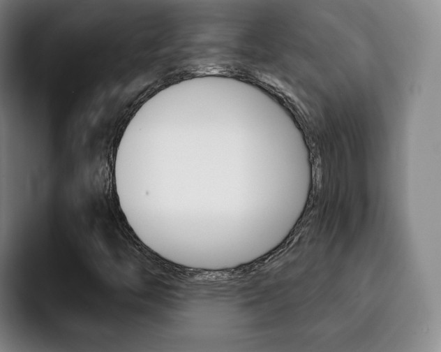 X0000093091446200709260900