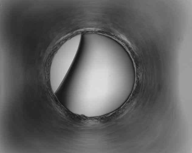 X0000093091448200709260900