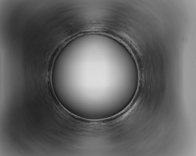 X0000093091449200709260900