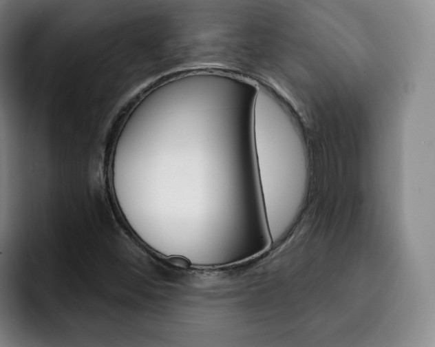 X0000093091452200709260900