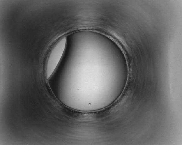 X0000093091453200709260900