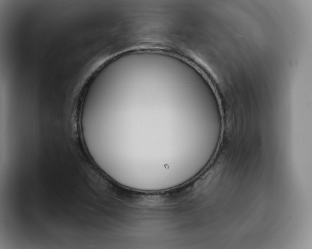 X0000093091455200709260900