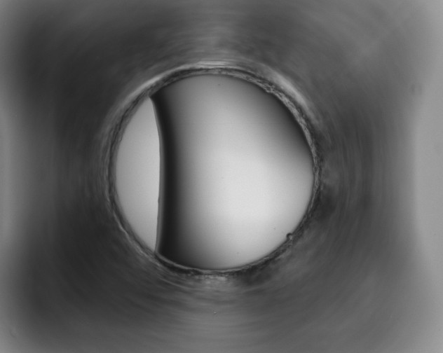 X0000093091456200709260900