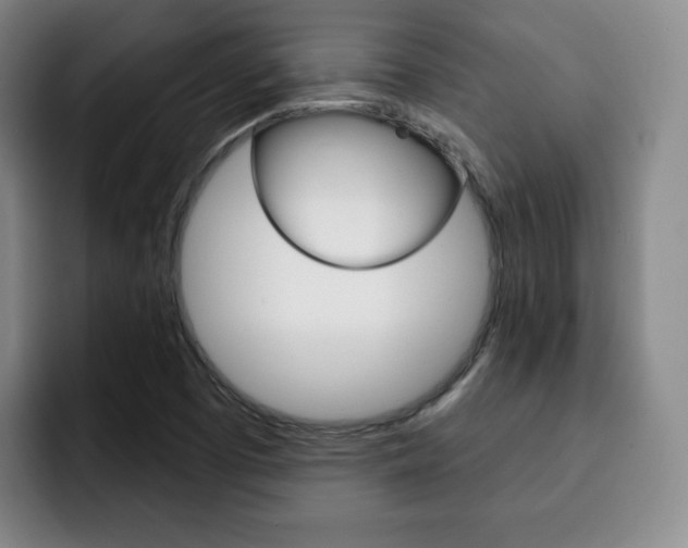 X0000093091457200709260900