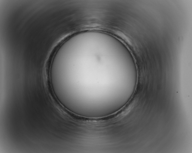 X0000093091458200709260900