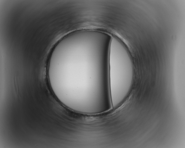 X0000093091459200709260900