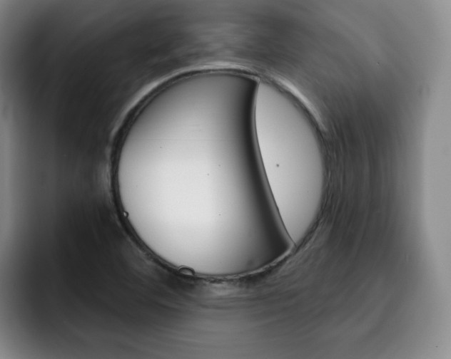 X0000093091460200709260900