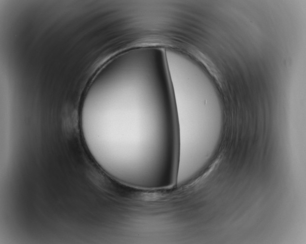 X0000093091465200709260900