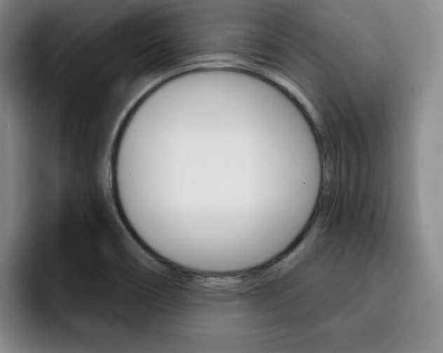 X0000093091466200709260900