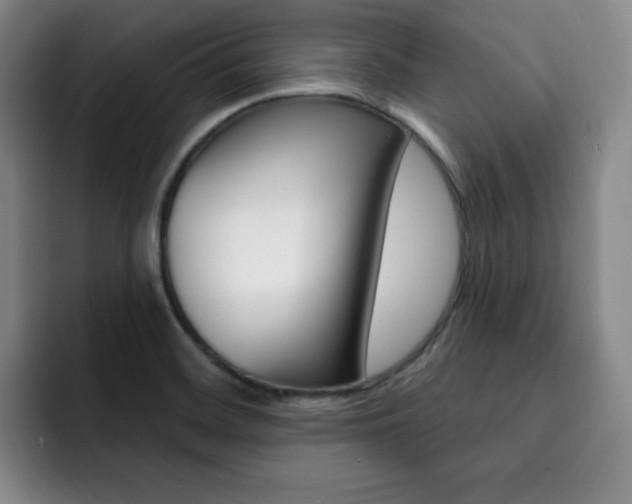 X0000093091468200709260900