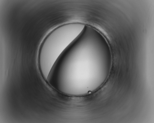 X0000093091469200709260900