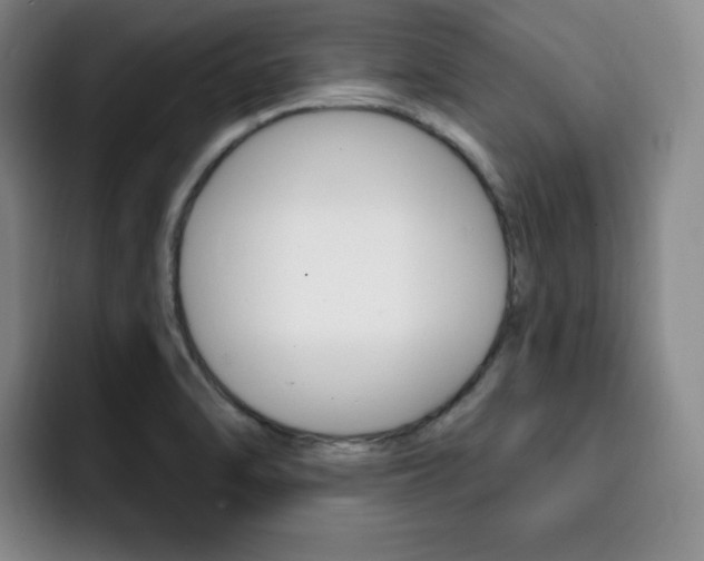 X0000093091470200709260900