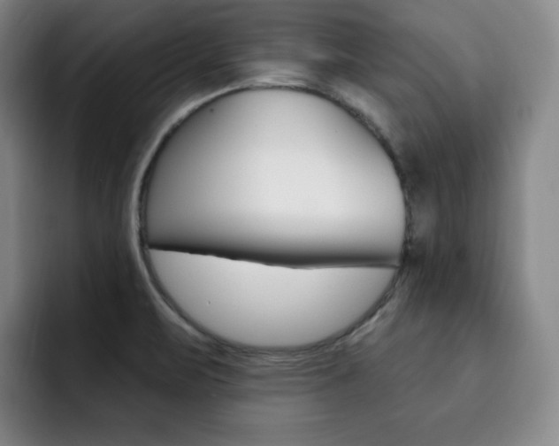 X0000093091471200709260900