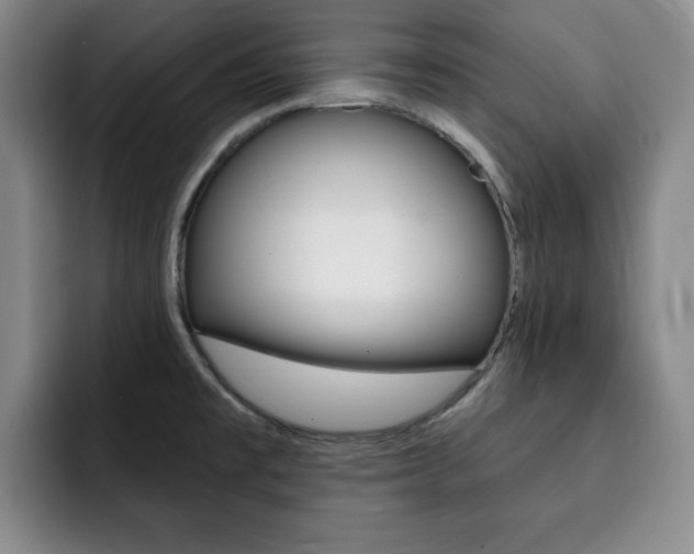 X0000093091477200709260900
