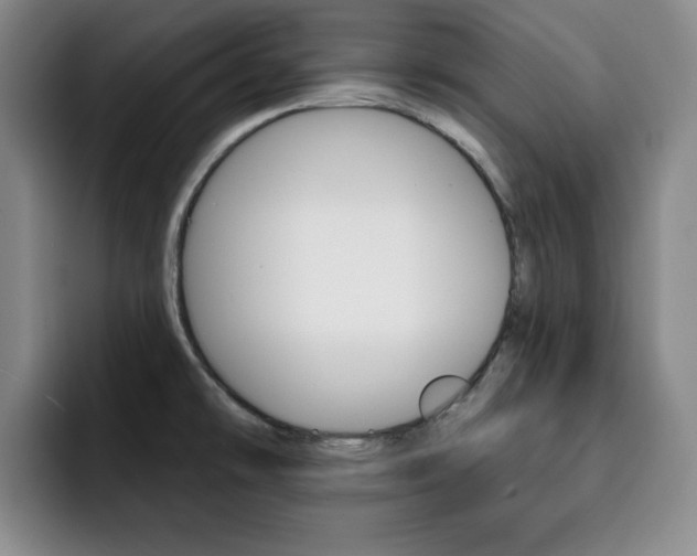 X0000093091478200709260900