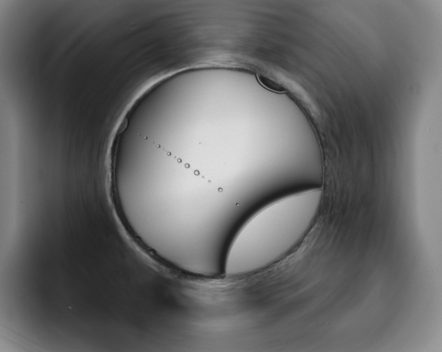 X0000093091479200709260900