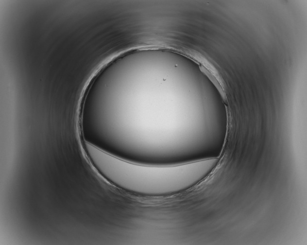 X0000093091485200709260900