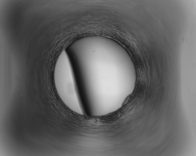 X0000093091489200709260859