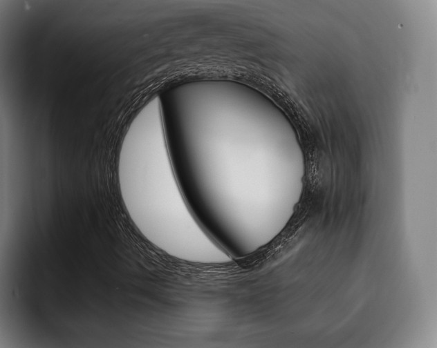 X0000093091490200709260859