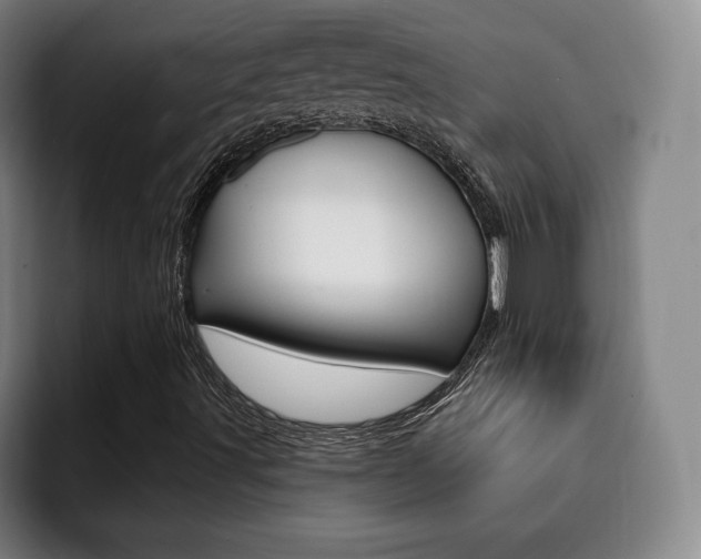X0000093091491200709260859