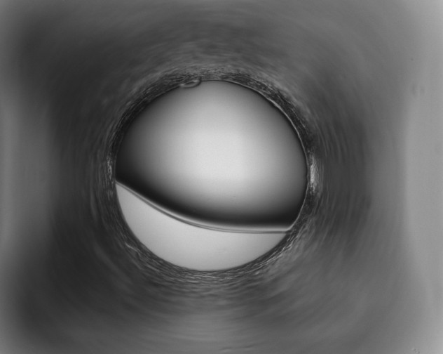 X0000093091492200709260859