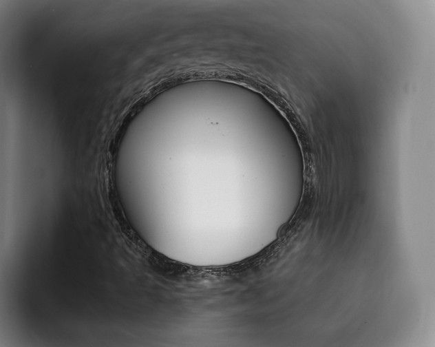 X0000093091493200709260859