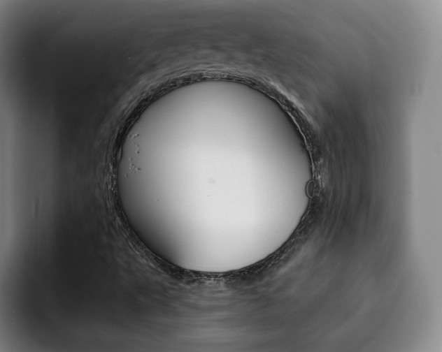 X0000093091495200709260859