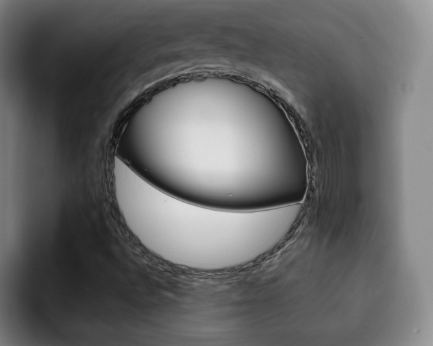 X0000093091496200709260859