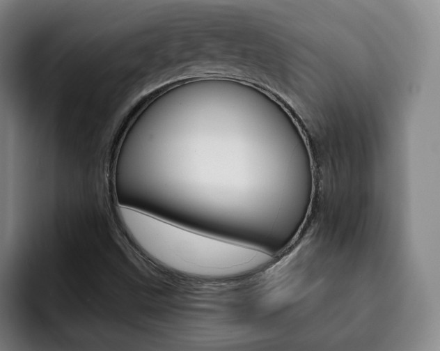 X0000093091499200709260859