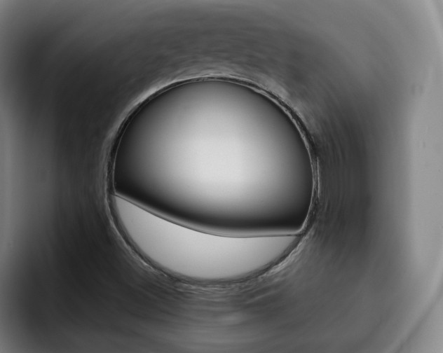 X0000093091500200709260859