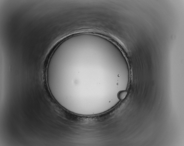 X0000093091501200709260859