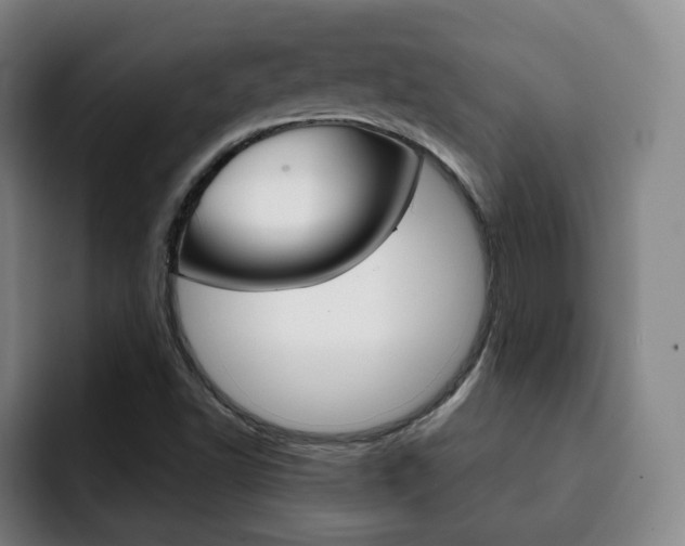 X0000093091502200709260859