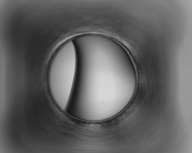 X0000093091503200709260859
