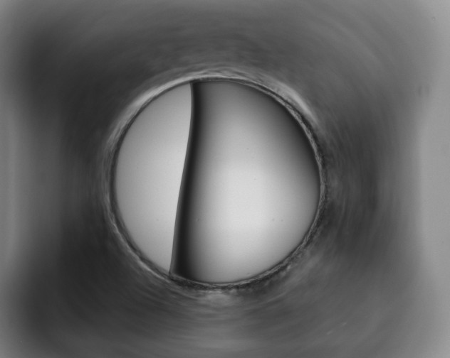 X0000093091504200709260859